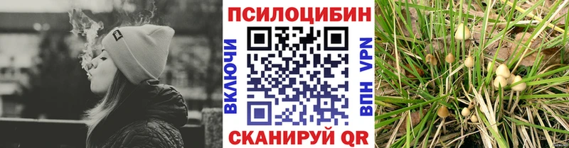 Псилоцибиновые грибы ЛСД  Лыткарино 